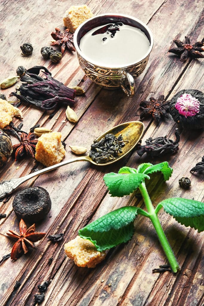 Ancestral Health practices at Savant Wellness in San Francisco